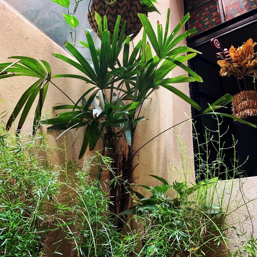 Departamento Peron Obelisco Apartment บัวโนสไอเรส ภายนอก รูปภาพ